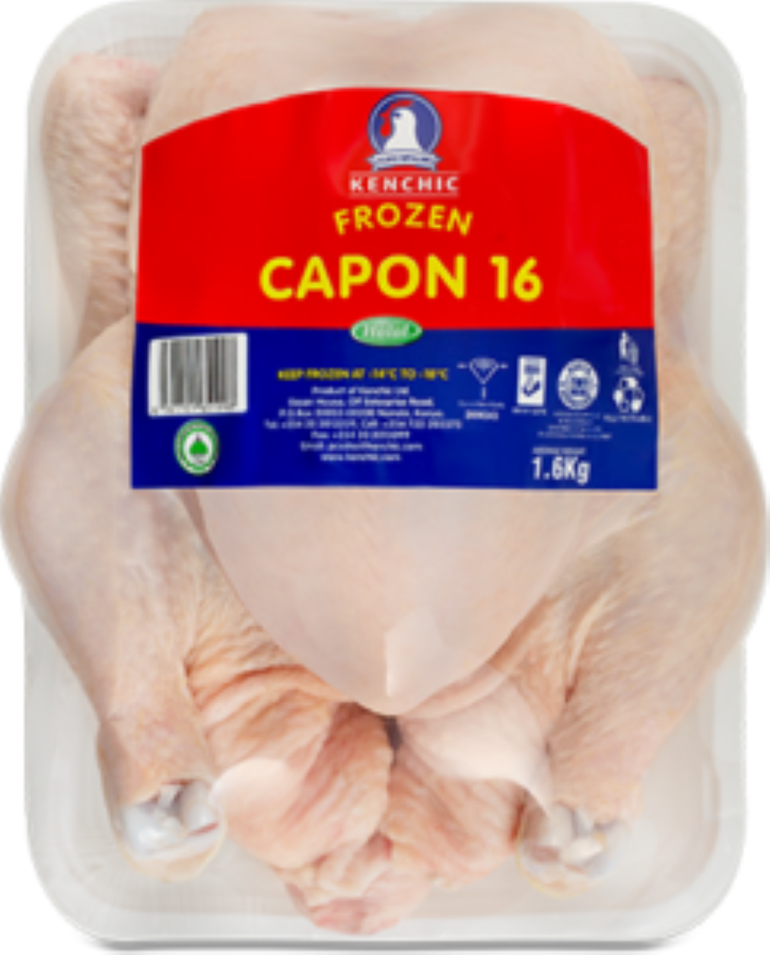 KENCHIC CAPON 15